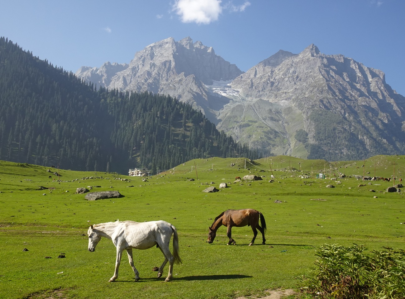 Sonamarg